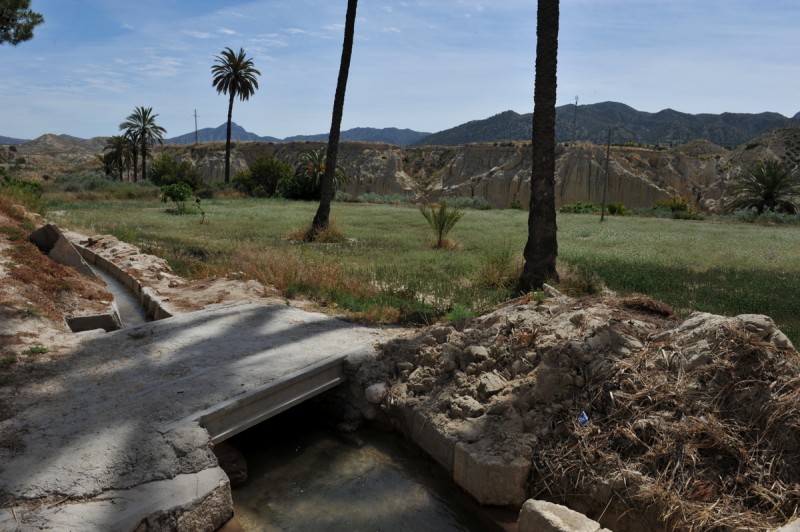 A history of Abanilla