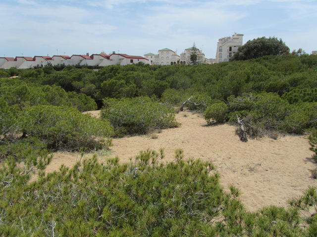 Paraje Natural Molino del Agua in Torrevieja