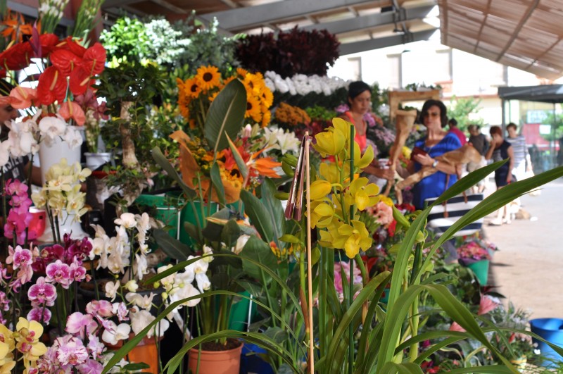 La Plaza 25 de Mayo or Plaza Flores in Alicante City