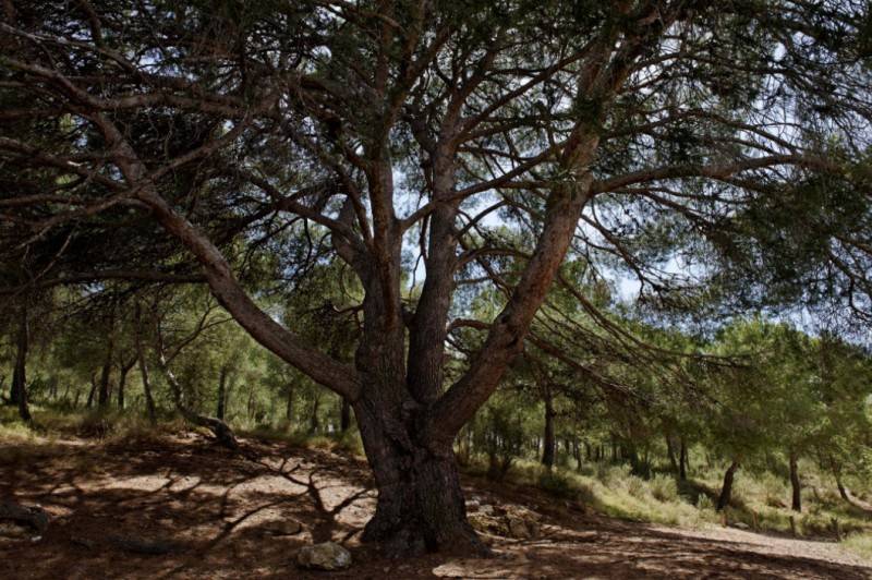 An 11-kilometre hiking route from Alhama to the mountain village of Gebas