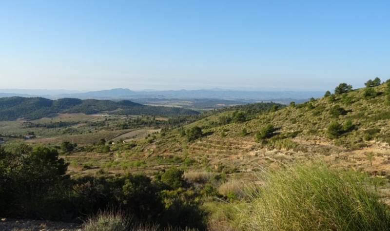 The Cejo Colorao hiking route around Zarzadilla de Totana