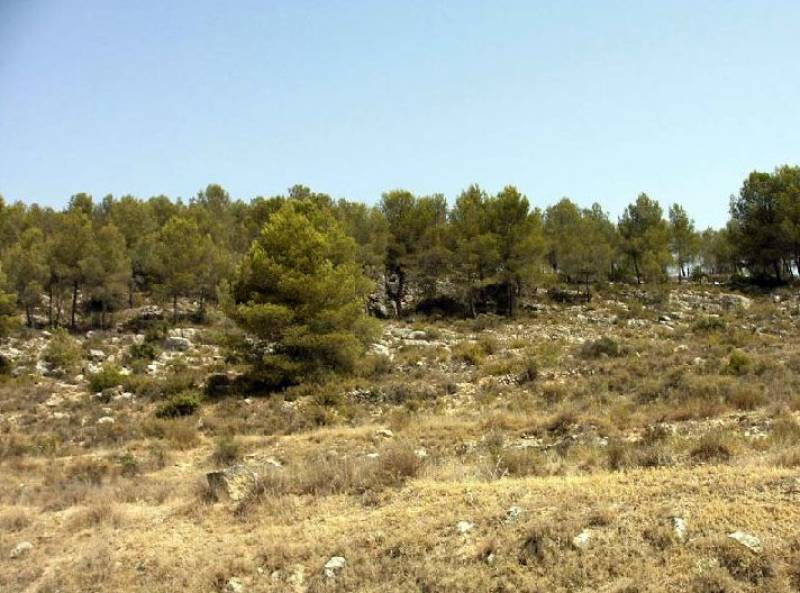 The village and rural district of La Encarnación in Caravaca de la Cruz