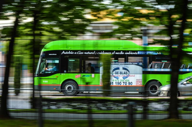 Free public transport in Málaga this summer: Who's eligible and how to apply