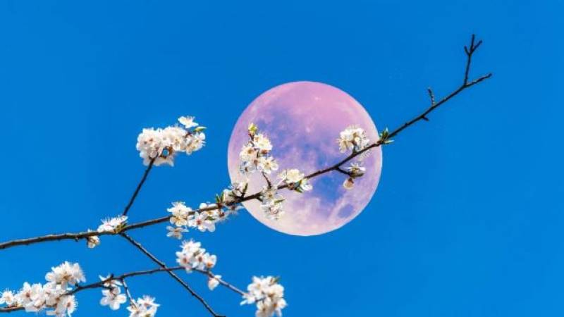 May 2025 full moon: The Flower Moon dazzles in Spain