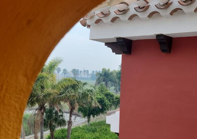 Catalonia wildfire smoke mixes with calima to reduce Murcia and Alicante air quality