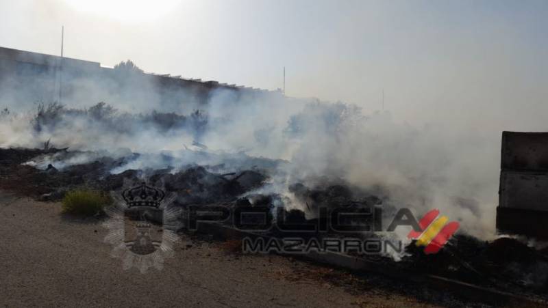 Camposol green waste area goes up in flames