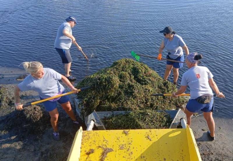 Thousands of tonnes of algae cleared, but the Mar Menor is still in deep trouble