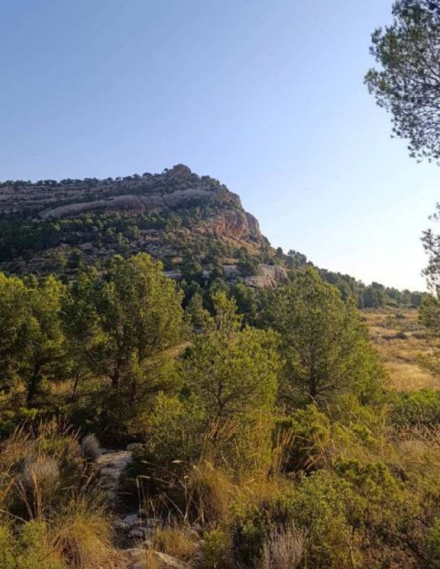 February 22 Free guided walk at the mystical mountain of Monte Arabí in Yecla