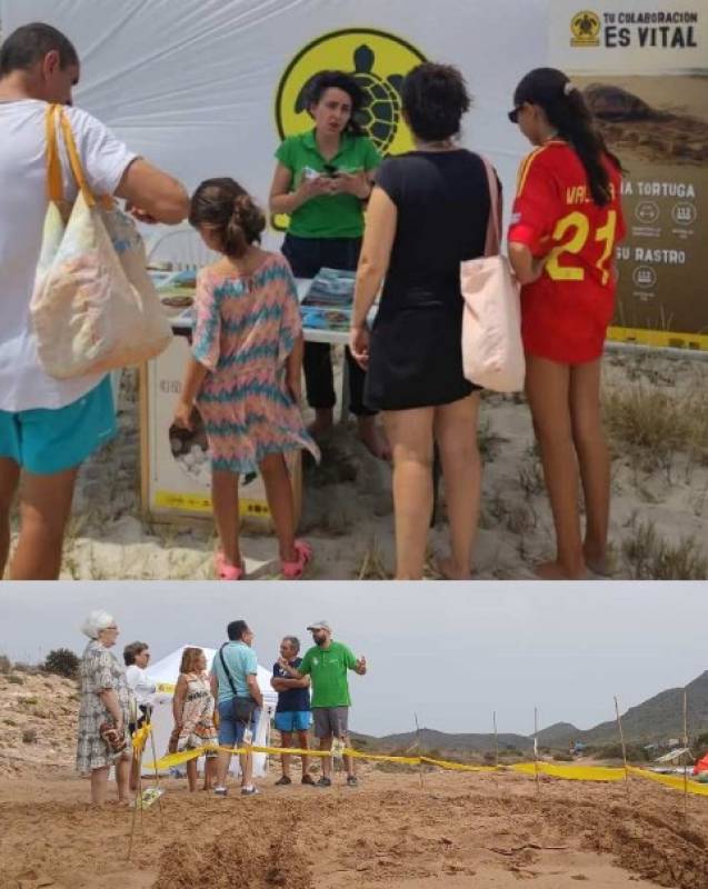 June 20 Turtle awareness morning in Puerto de Mazarrón!