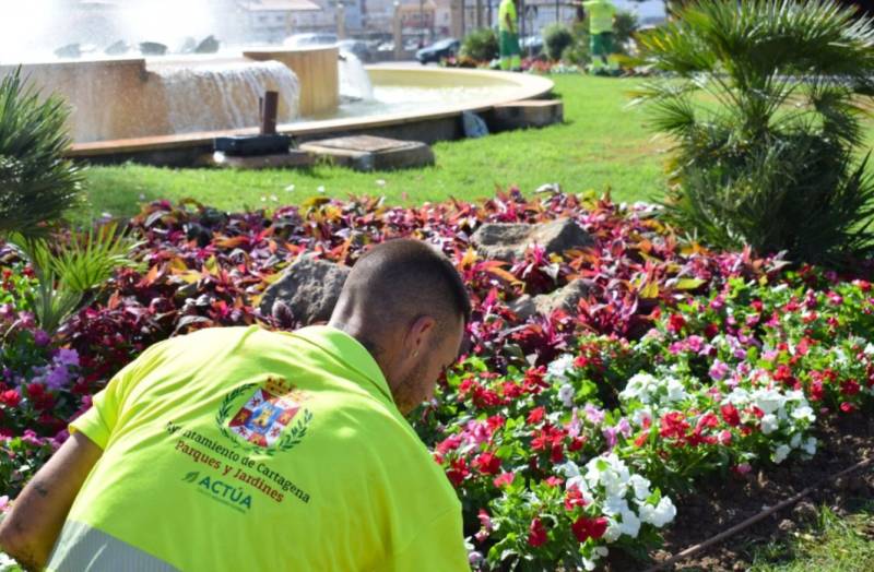 Cartagena prepares for the Carthaginians and Romans fiestas with floral decoration in the city