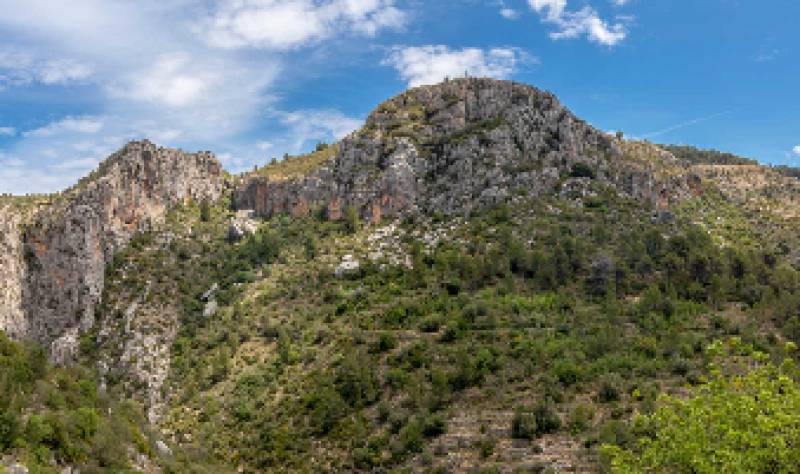 Alicante’s natural parks enjoy a bumper summer