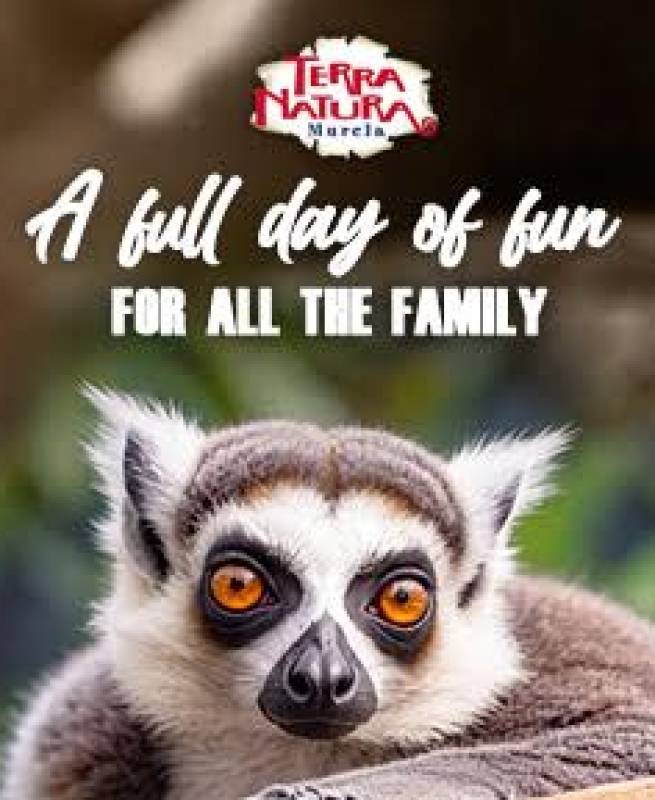 Meet the lemurs of Terra Natura Murcia: the charismatic stars of Madagascar