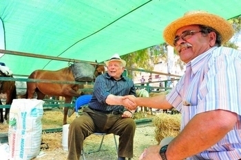 A history of Fuente Álamo